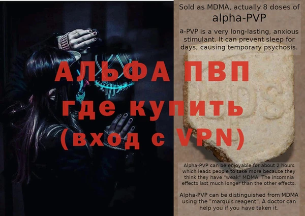 эйфоретик Богданович