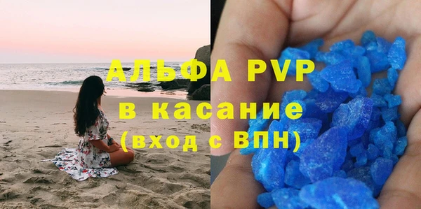 эйфоретик Богданович