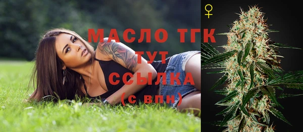 эйфоретик Богданович