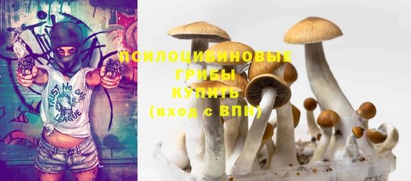 эйфоретик Богданович