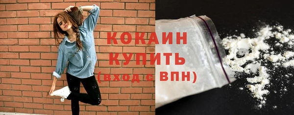 дурь Богородицк