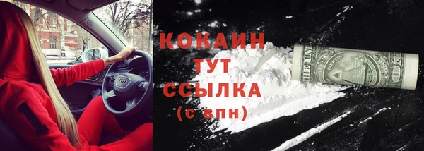 дурь Богородицк
