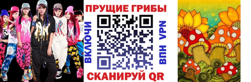 купить наркотики сайты  Благодарный  Псилоцибиновые грибы Magic Shrooms 